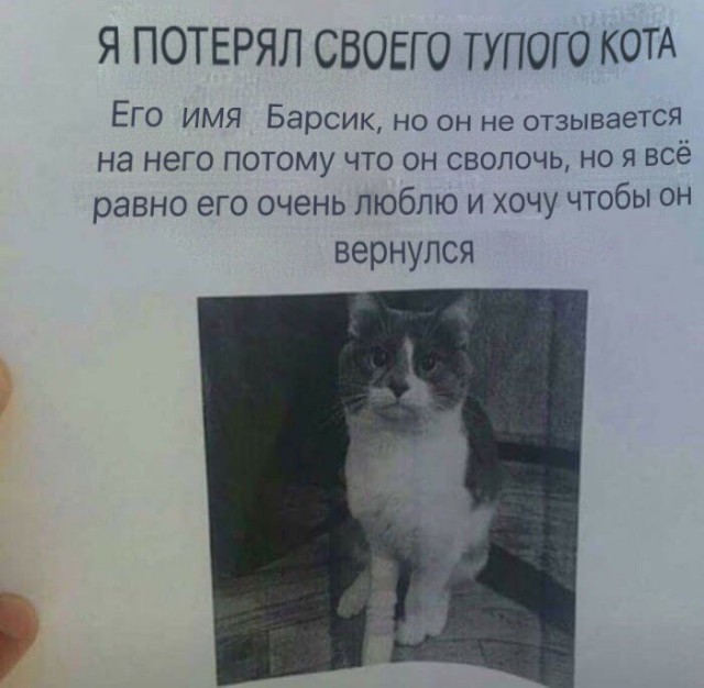 Нестандартный юмор
