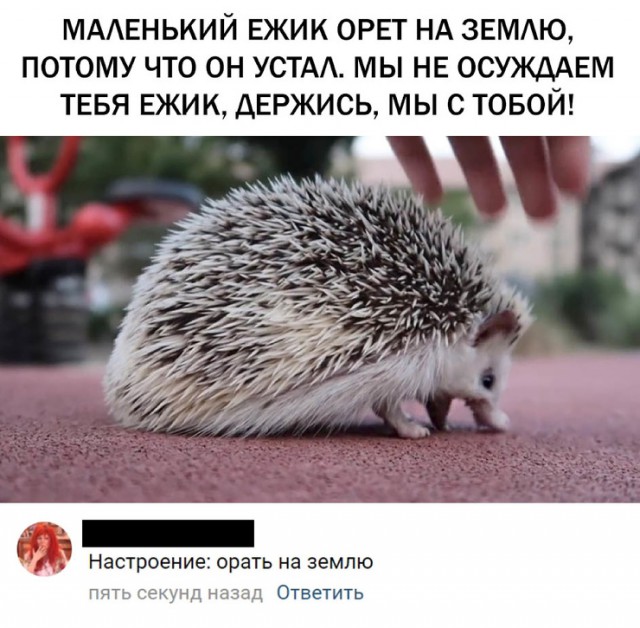 Немного картинок в эту субботу
