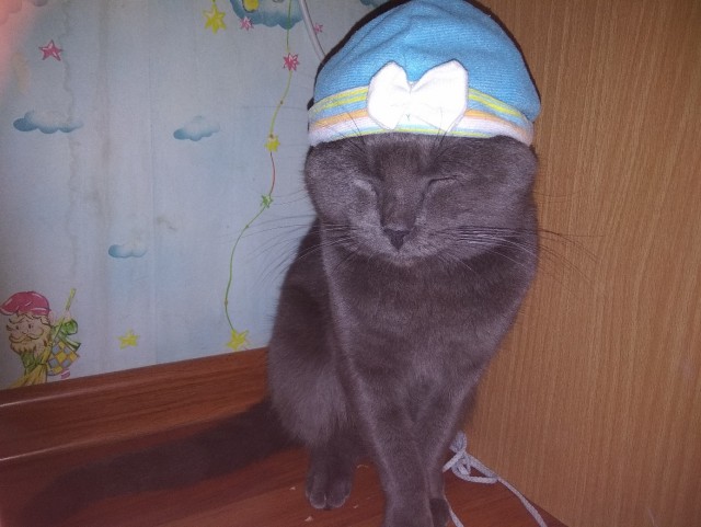 Немного милоты