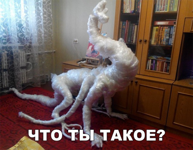 Нестандартный юмор