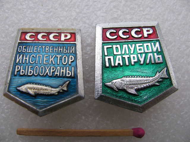 Ностальжи фотопост