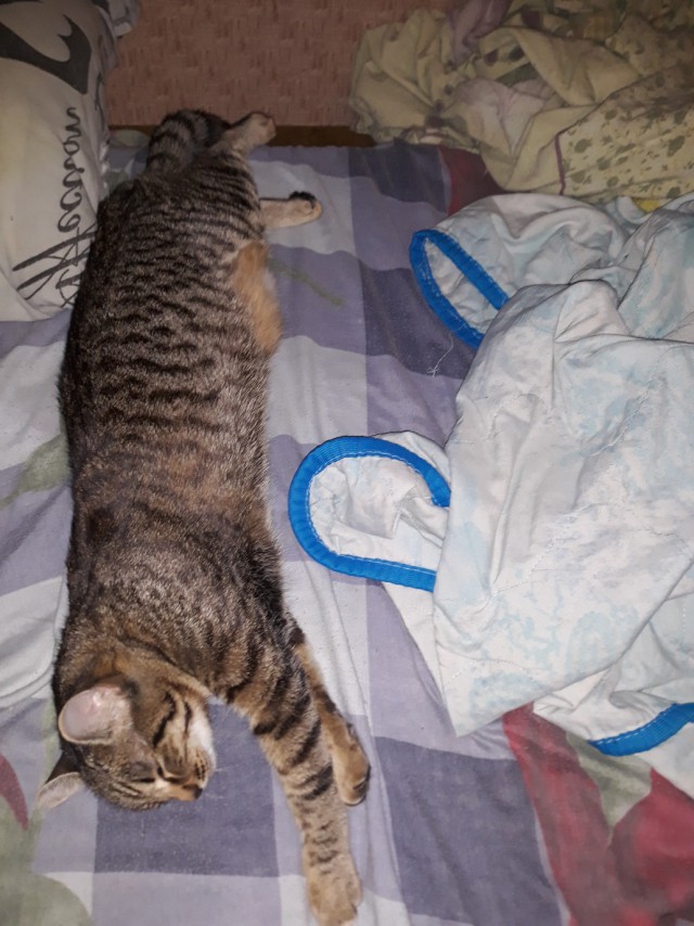 Немного милоты