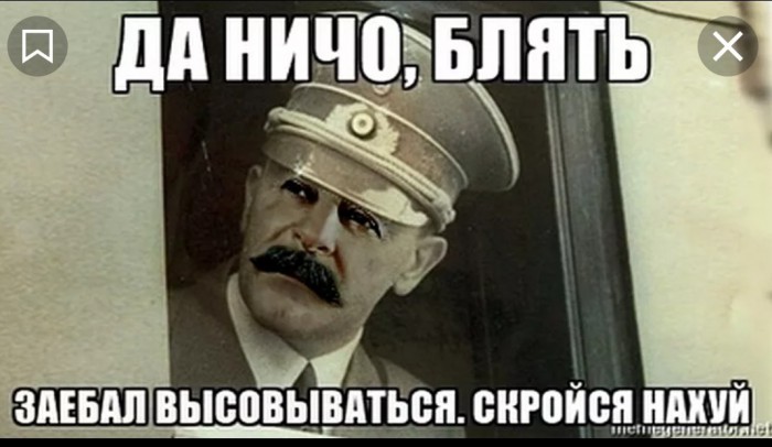 Это моя кошка