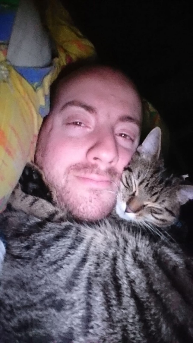 С Днём кошки!