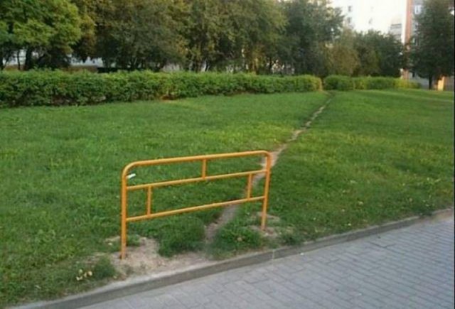 И всё-таки она наша. Лента картинок