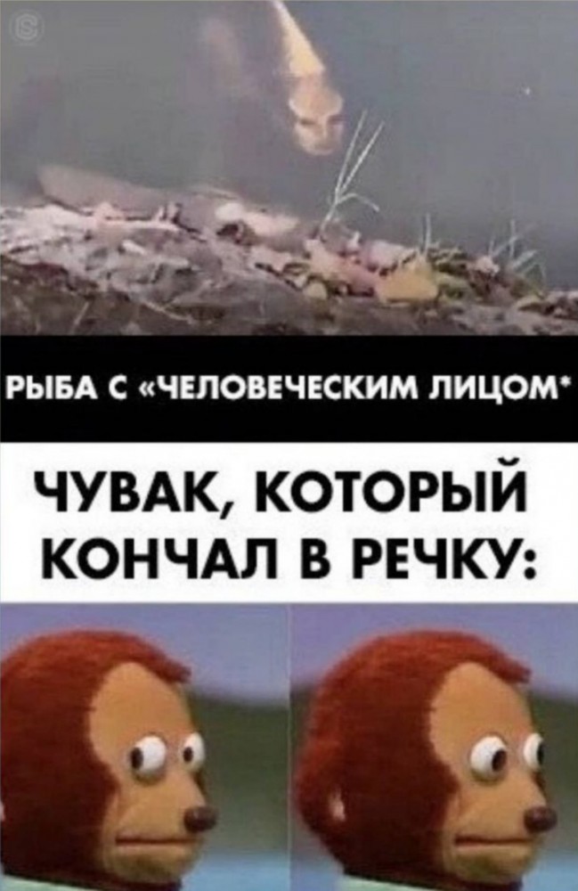 Полный отрыв