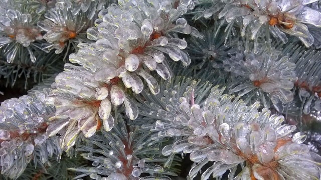 Дождь ледяной, красавчик