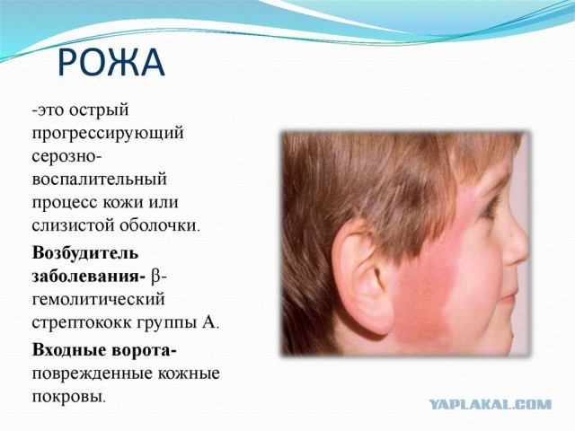 Корона: мест нет