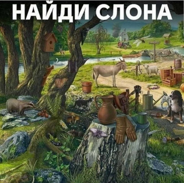 Бредзона 31.05.20