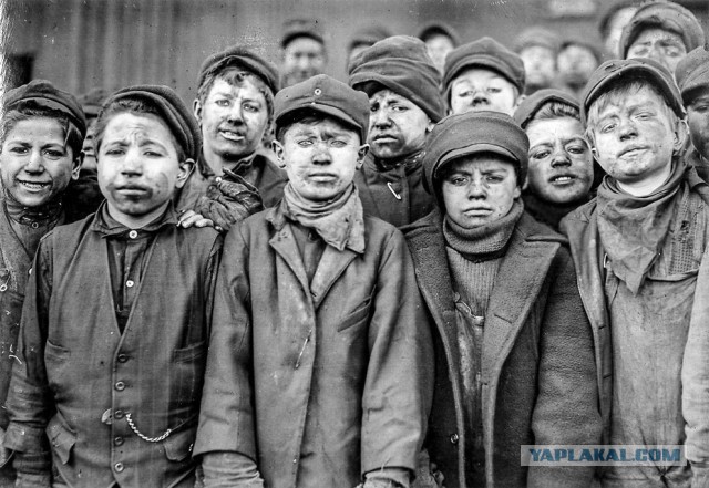 Воспитание