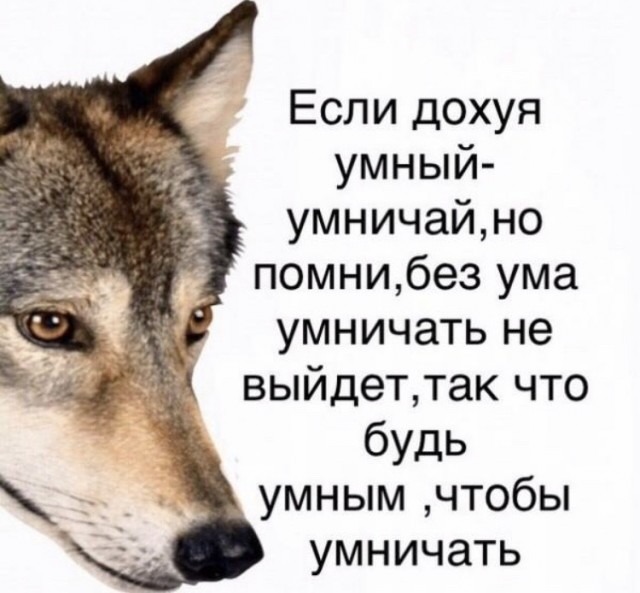 В наши руки попал сенсационный материал