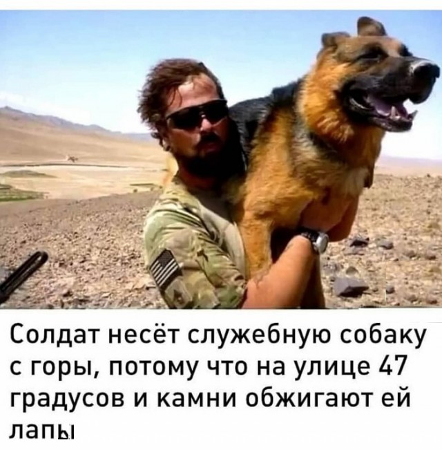 Картинки с надписями и всякие жизненные фразы 20.04.21