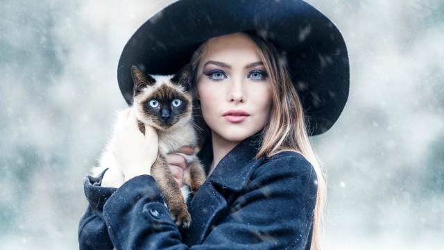 Девушки котовторника