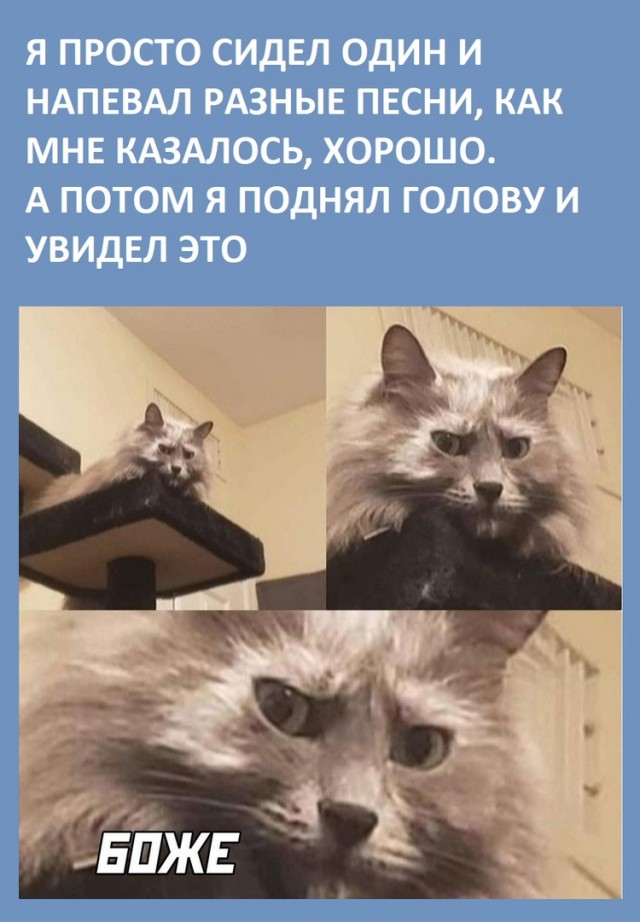 Так себе картинки 29.04.21