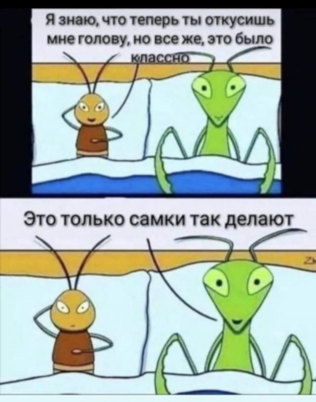 Сегодня ты зашёл в интернет ради этого, друг
