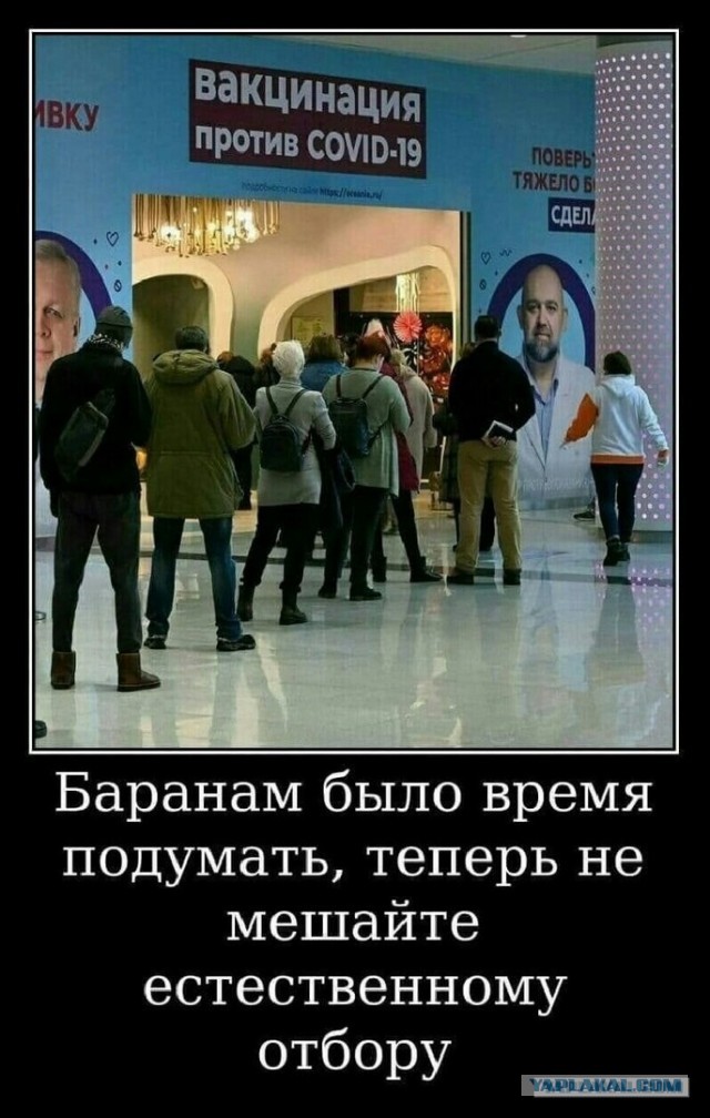 Марихуана может предотвратить заражение COVID-19