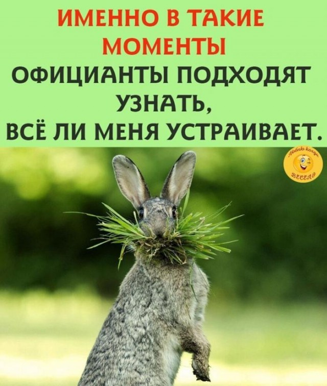 Баянисто-небаянистый юмор. 18.09.21