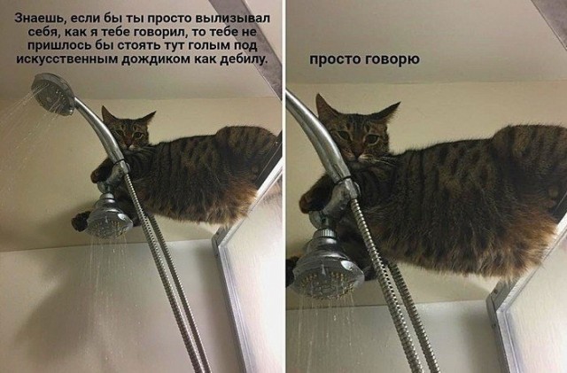 Так себе картинки 22.10.21