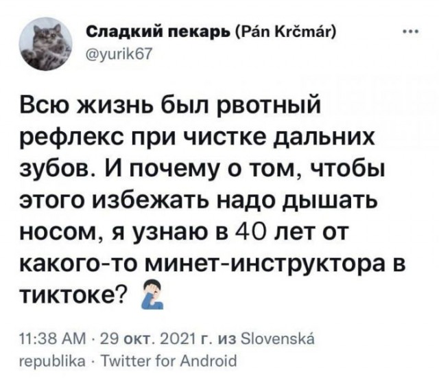 Картинки и мемы для настроения 01.11.2021