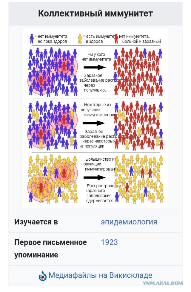 «Антивакционное такси» появилось в Казани после введения QR-кода в транспорте
