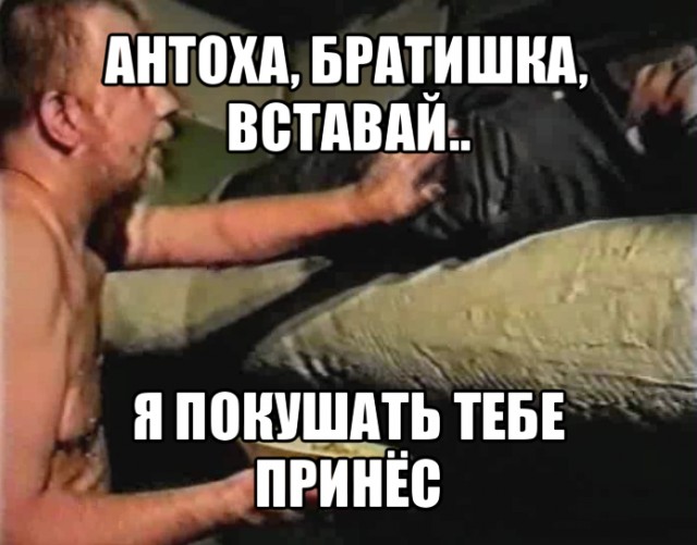 Российским чиновникам, приближённым к президенту, значительно усложнили жизнь. Они должны несколько раз в неделю сдавать кал