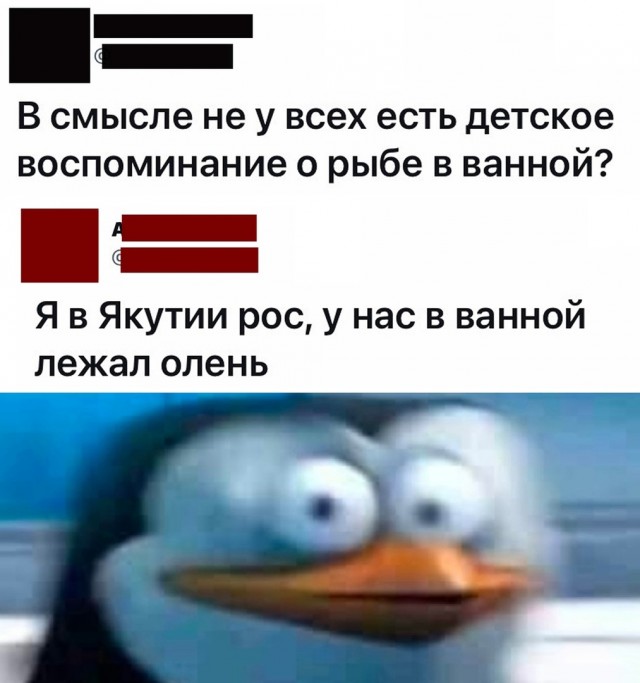 Так себе картинки 15.02.22