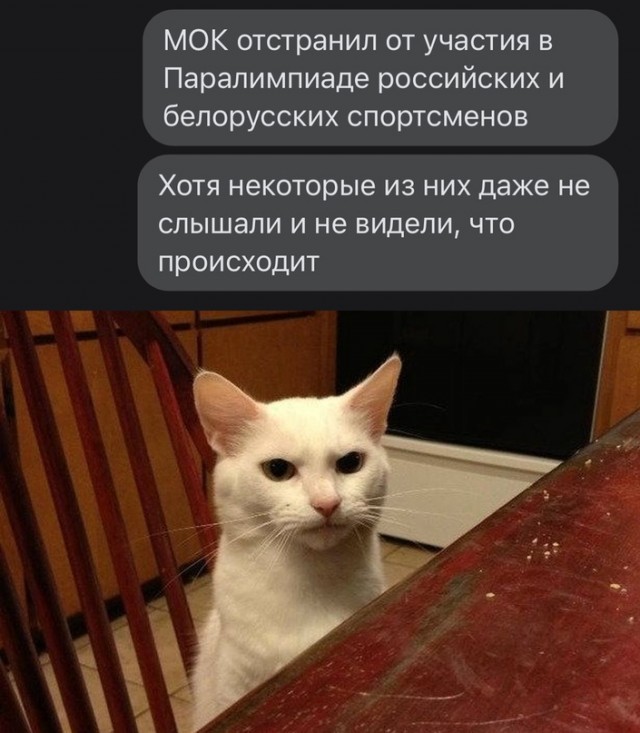Весёлый полтишок 05.03