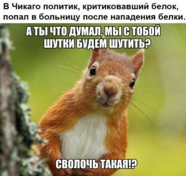 Так себе картинки 04.04.22