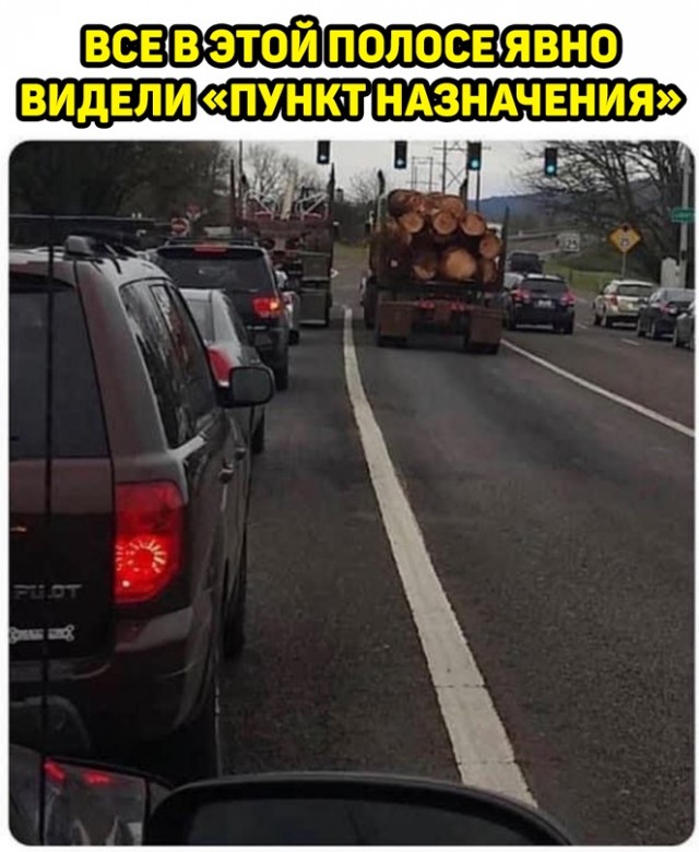 Весёлый полтишок 11.04.22