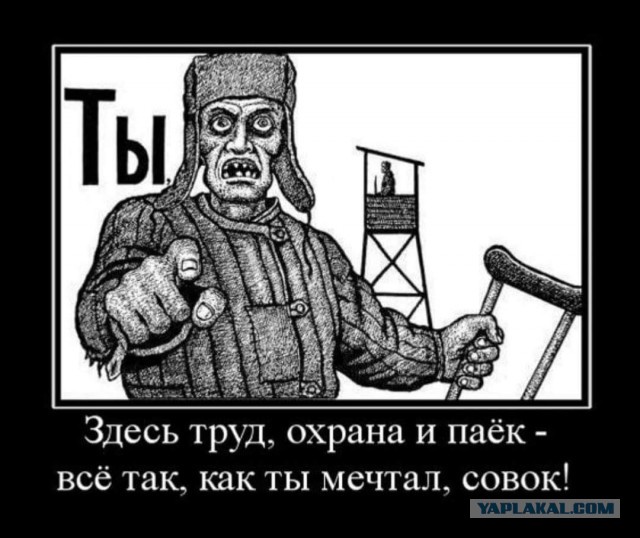 Госдума приняла поправки в закон о воинской службе, где снимаются ограничения для прохождения службы по контракту