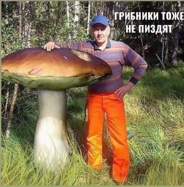 Так себе картинки 20.06.22