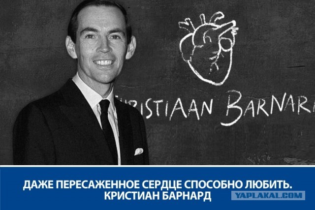 Редкие кадры и архивные снимки 20.07.2022