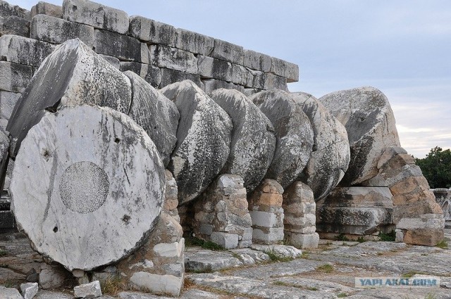 Любовь с первого взгляда