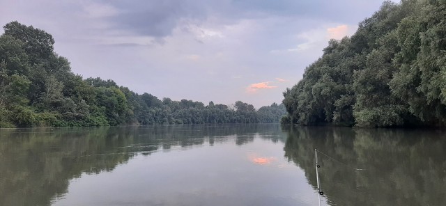 Доброе утро, рыбаки