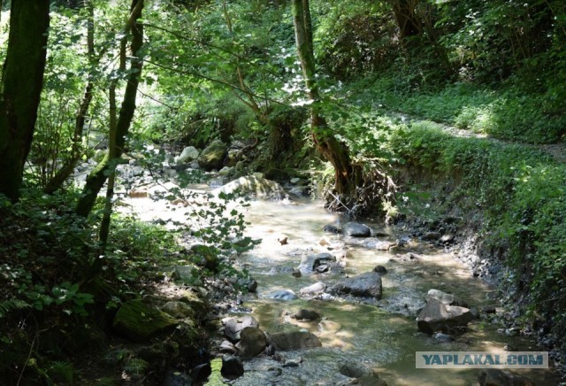 Отпуск в Агое. Курорт Краснодарского края