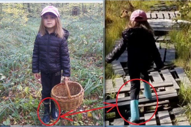 Грибовнет