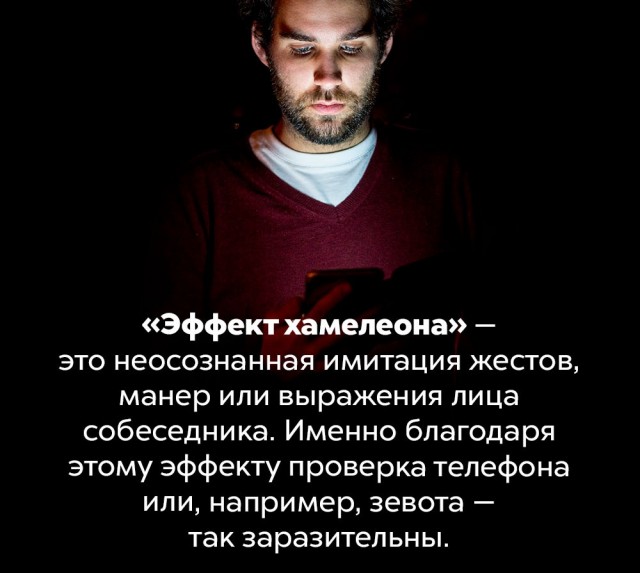 Немного бесполезных фактов