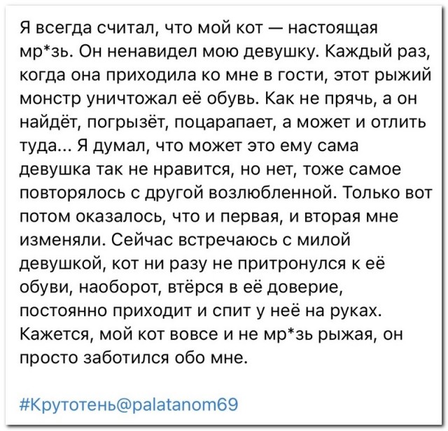 Забавные комментарии из социальных сетей (19.12.22)