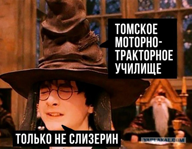 Про запрет Гарри Поттера, навязывание духовности и «традиций»