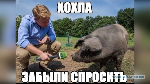 Путин выступил с новогодним обращением к россиянам на фоне военных