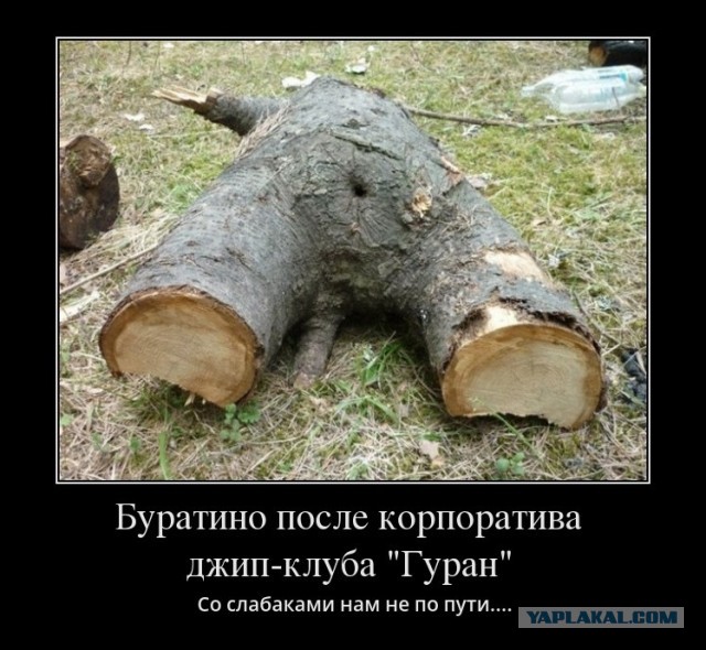 Делюсь фотой благоверной