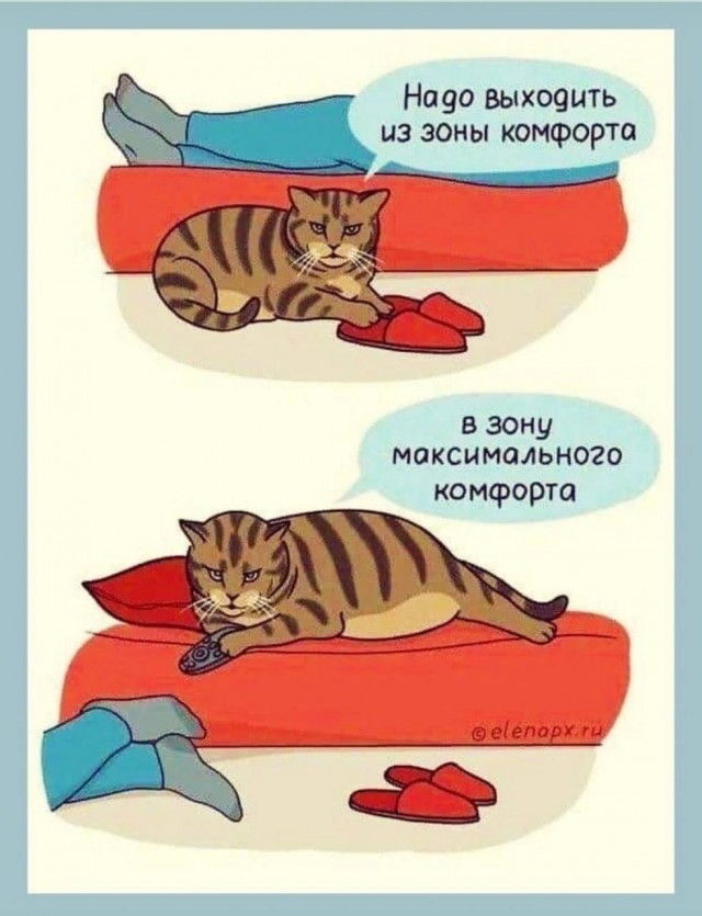Победная поступь идиотизма по планете – том 6