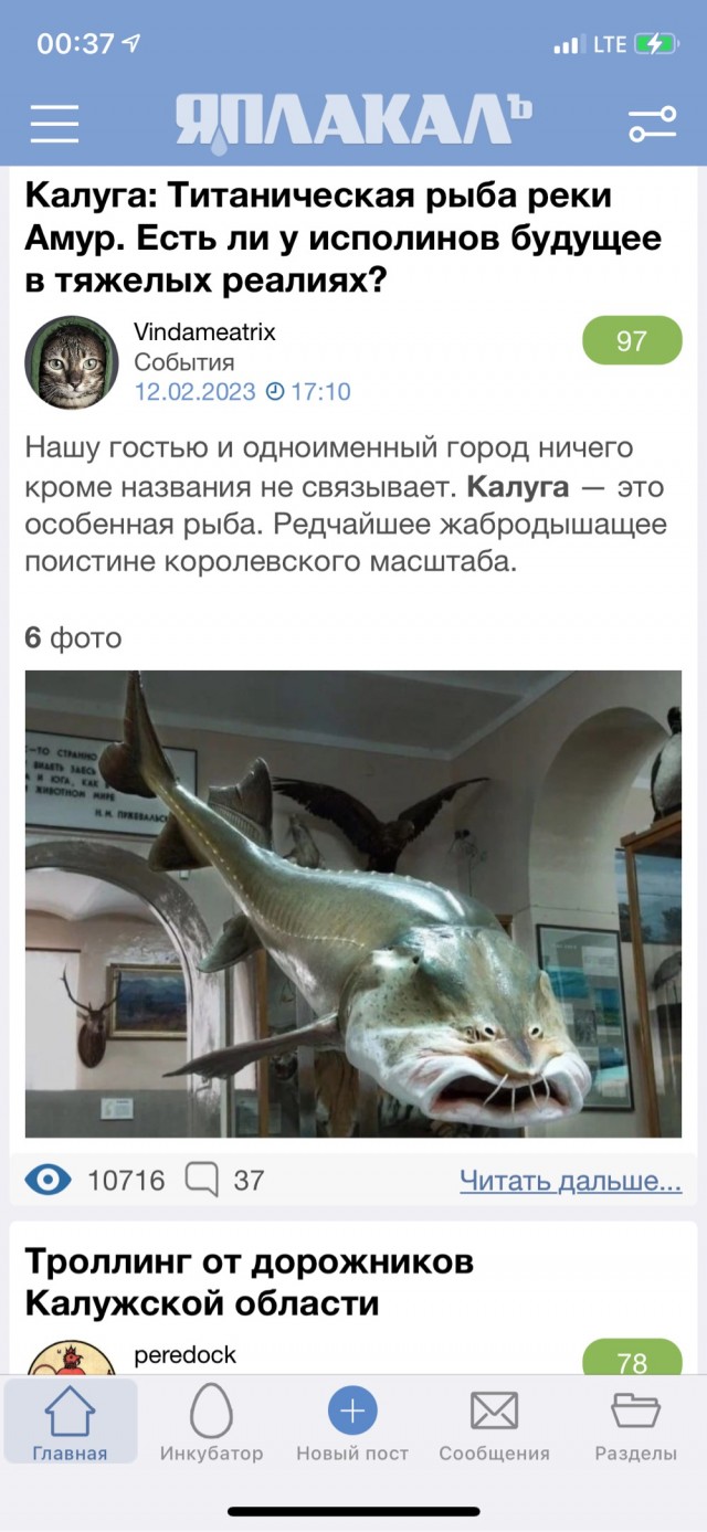 Троллинг от дорожников Калужской области