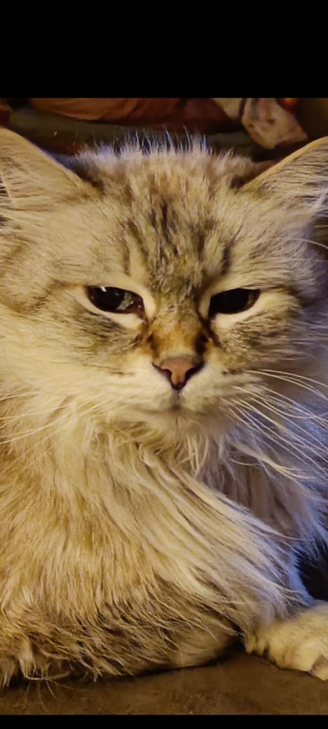 Совпало же? В котовторник