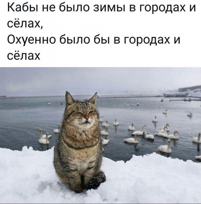 Побег от серых будней