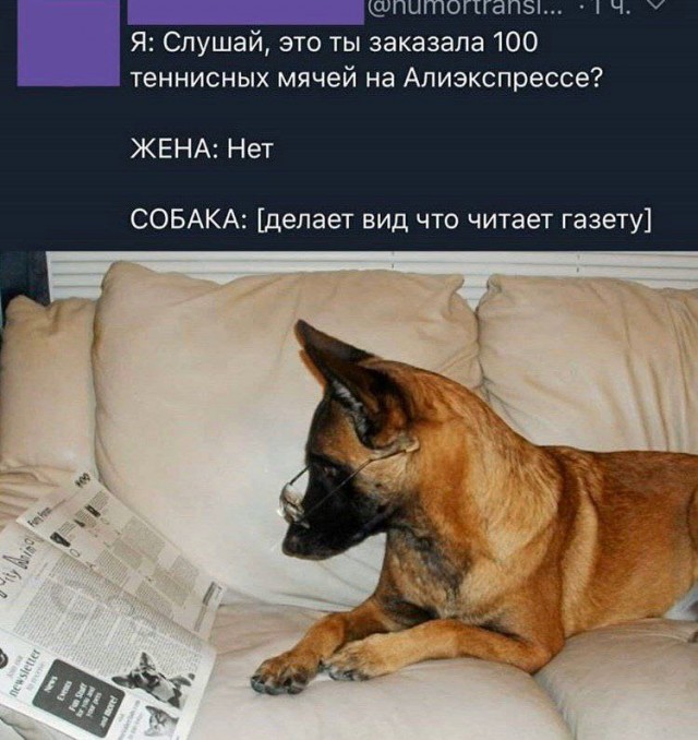 Подборка картинок 10.04.2023