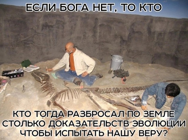 Нестандартный пост в пятницу
