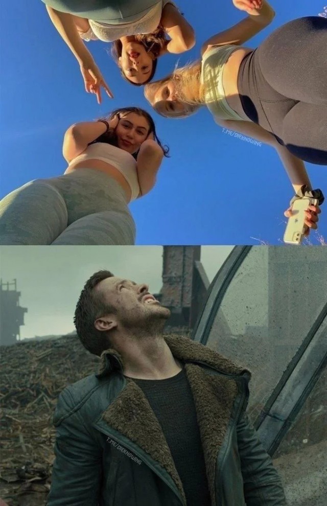 Мемы для тех, у кого IQ от 30 до 99