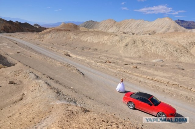 Ford Mustang напрокат