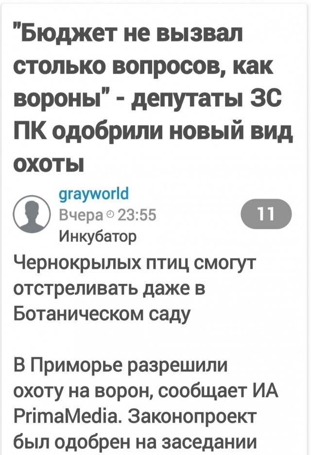 В Москве женщине в капюшон упала мертвая ворона, когда она выгуливала собаку во дворе одного из домов